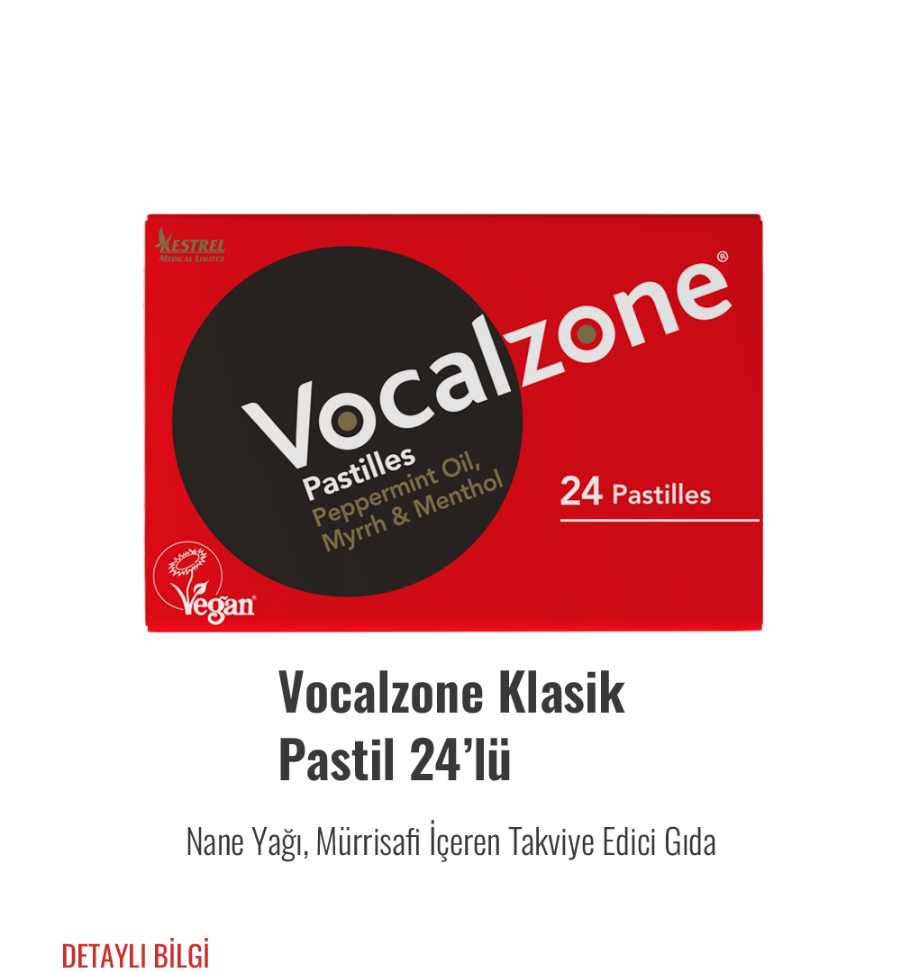 Vocalzone Klasik Pastil 24'lü